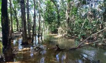 Imagem 6: OPORTUNIDADE - ÁGIL DE CHÁCARA