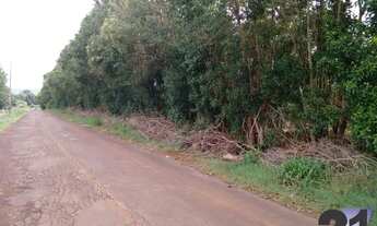 Imagem 3: VENDA Fazenda / sítio com venda por R$500.000