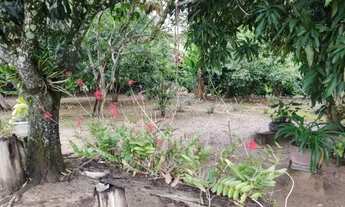 Imagem 3: Chácara com 9.450 metros em São Sebastião do Paraiso