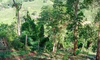 Imagem 4: VENDA Fazenda / sítio com venda por R$1.300.000