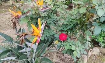 Imagem 2: Chácara com 9.450 metros em São Sebastião do Paraiso