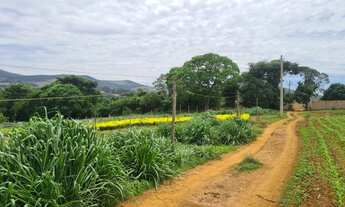 Imagem 5: Lindas chácaras de 1.000m² em Serra Azul