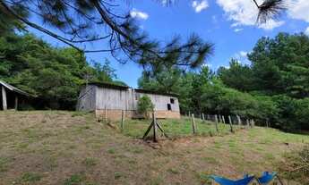 Imagem: Velleda oferece ótimo sítio 5000m², em