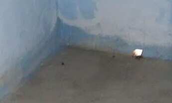 Imagem 7: Casa à venda Casa com 2 dormitórios