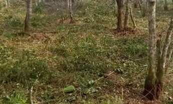 Imagem: Terreno Parelheiros 1000m2