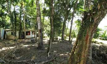 Imagem 4: BLUMENAU - Casa Comercial - Escola Agrícola