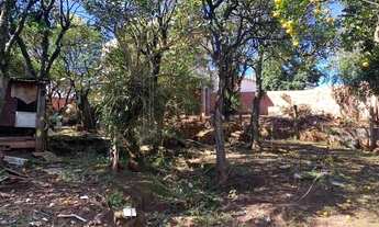 Imagem 4: Terreno com potencial comercial e casa