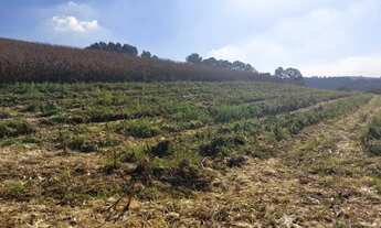 Imagem 2: Lotes de 600m² Terreno / lote com venda por R$75.000