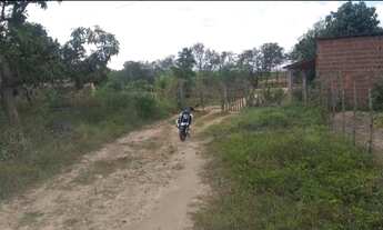 Imagem 3: Sítio 1.5 hectares