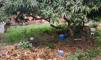 Imagem 3: Lote de 1.200 na Arniqueiras