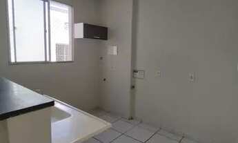 Imagem 4: Oportunidade apartamento planalto