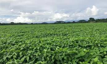 Imagem 3: FAZENDA A VENDA EM NOVA MONTE VERDE-MT!