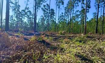 Imagem 2: Espaços para Sonhar - Lotes em Condomínio Fechado com Infraestrutura Completa