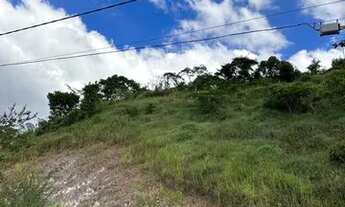 Imagem: JARDIM SÃO JOÃO - Francisco Bernardino