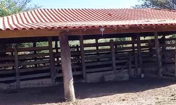Imagem: Fazenda de 102 alqueires em Padre Bernardo
