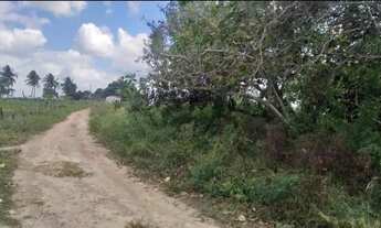 Imagem: Sítio 1.5 hectares