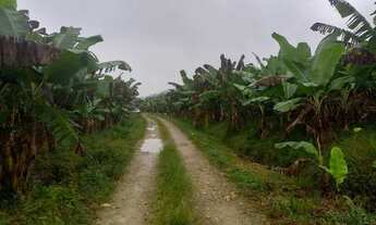 Imagem: Sítio 2 alqueires Bananal Rio Banhistas