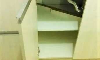 Imagem 6: Apartamento Garden com 2 dormitórios à venda, 49 m² por R$ 320.000,00 - Vila Jaraguá - São