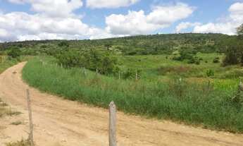 Imagem 4: Fazenda no Km 100