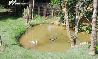 Imagem 7: Chácara próx a Guaparari