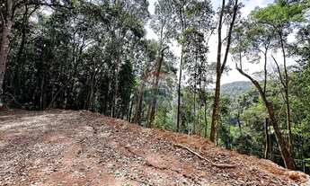 Imagem 5: Terreno Exclusivo de 8.000 m² no Recreio Campestre Escritura Pronta para Construir