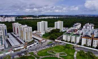 Imagem 5: Evidence Jabotiana [11952