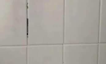 Imagem 7: Imóvel para aluguel com 1 quarto, cozinha, sala, W.C e lavanderia - São Caetano do Sul - S