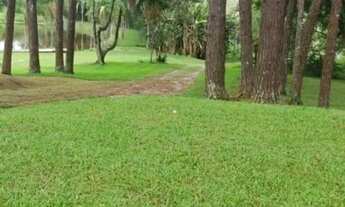 Imagem 5: TERRENO - CANJICAS - SP