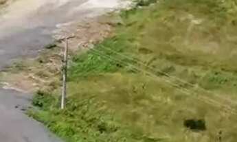 Imagem 3: Terreno para Venda em Feira de Santana, Pedra do Descanso
