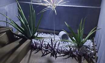 Imagem 2: Casa no bairro residencial visão lagoa Santa