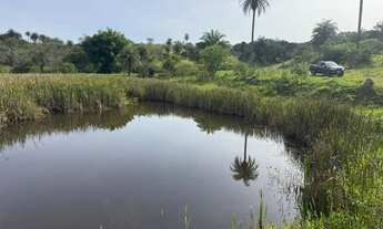 Imagem 6: Chacara com lagoa em betim