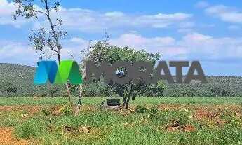 Imagem 3: FAZENDA À VENDA - 385 HECTARES - CORINTO - MG