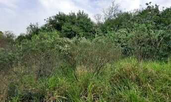 Imagem 4: Terreno-Lote Residencial com 2 Dormitorio(s) localizado(a) no bairro São Lucas em Viamão