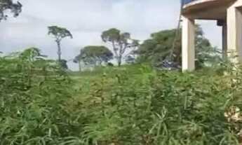 Imagem 4: Sítio em Ituiutaba