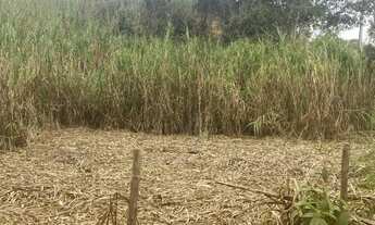 Imagem 6: Chácara Chácara com venda por R$150.000