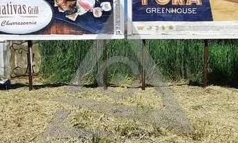 Imagem 5: Terreno à venda em Campinas, Bosque de Barão Geraldo, com 525 m²