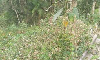 Imagem 6: Lindo terreno abaixo do valor de mercado apenas 47 mil reais