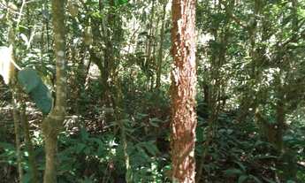 Imagem 6: Terreno com ribeirao 65 mil reais