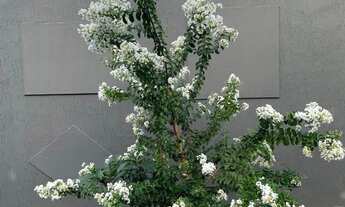 Imagem 3: CASA LINDA EM BIRIGUI ÓTIMA LOCALIZAÇÃO. GARAGEM P/ 2 CARROS