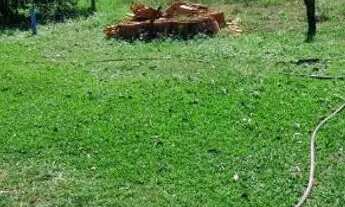 Imagem 2: Vendo fazenda de cultura boa