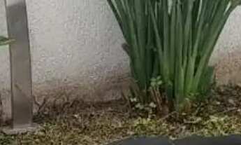 Imagem 5: CASA EM CONDOMÍNIO - ALPHAVILLE - SP