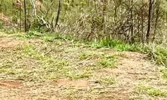 Imagem 5: O ESPAÇO PERFEITO PARA CONSTRUIR OU INVESTIR, EM UMA ÁREA CERCADA PELA NATUREZA! SAIBA MAI