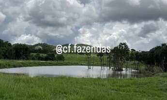 Imagem: Fazenda à venda em Goiás-Go