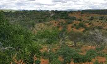 Imagem 5: Fazenda em poções BA