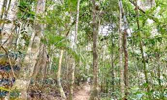 Imagem 5: Paraíso Ecológico em Santa Teresa Com 4 Hectares