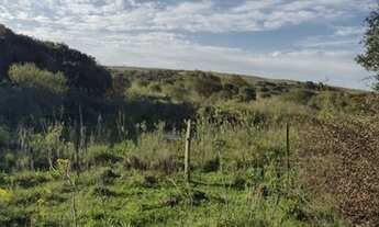 Imagem 2: Vendo 70 hectares de campo pecuária com área para pastagem ou lavoura