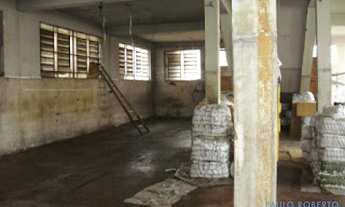 Imagem 5: GALPÃO - CAMBUCI - SP