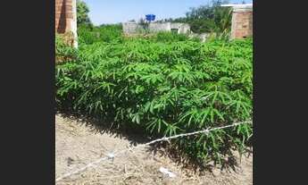 Imagem 4: Terreno com casa em ponto de laje