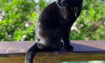 Imagem 4: Ecoar Hospedagem