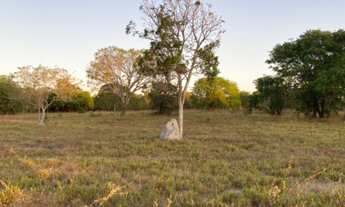 Imagem 6: Fazenda na região de Marianópolis/Divinópolis/Caseara/Abreulândia